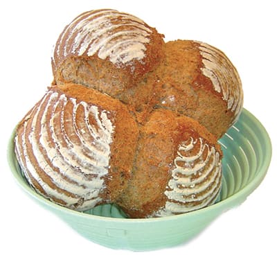 <img src="banneton-proving-basket-plastic-round-1-5-kg-2-400.jpg?v=1561488705 " alt="Polypropylene Aereation Bread Basket Round  Matfer Bourgeat catalog"> 